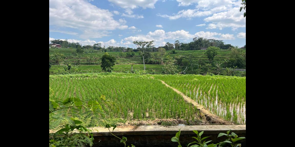 Rumah Kawasan Wisata 1392m² Mojogedang, Karanganyar Rumah Kawasan Wisata 1392m² Mojogedang, Karanganyar