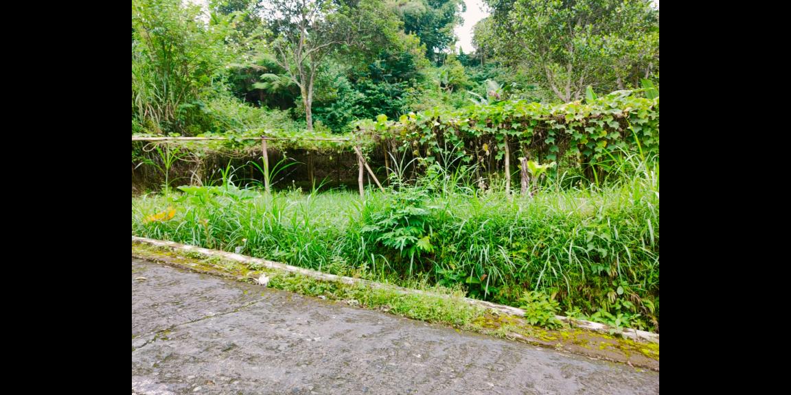 Tanah Strategis Dibangun Villa Tawangmangu Karanganyar Tanah Strategis Dibangun Villa Tawangmangu Karanganyar