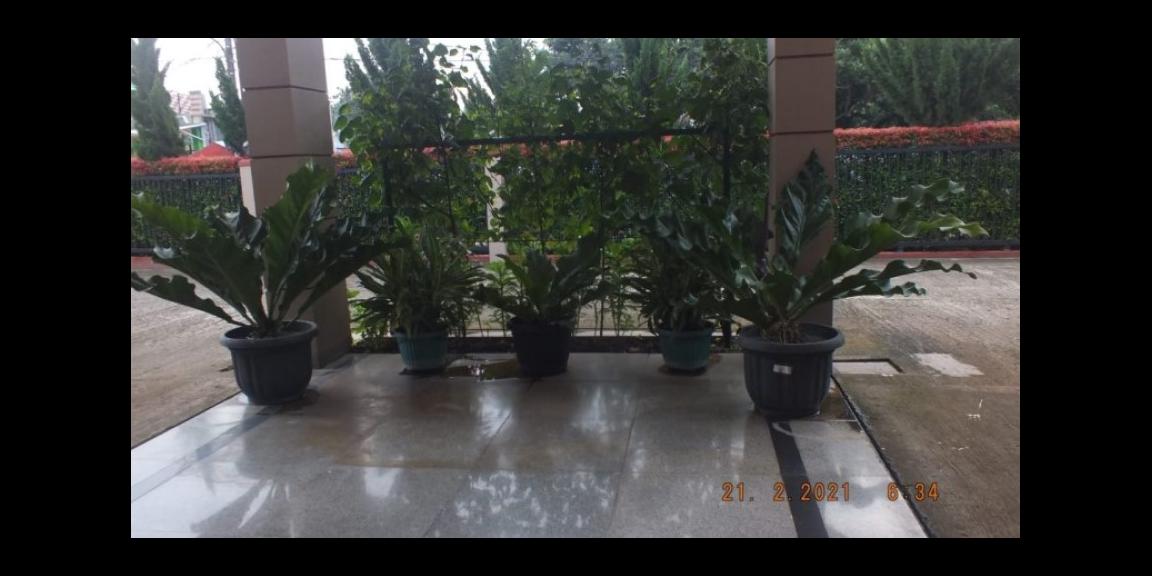 kost Pats House @BSD City kost Pats House @BSD City