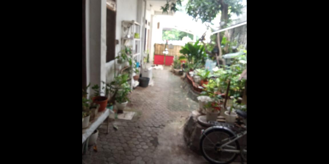 Rumah Dijual area Jakpus dan Turun Harga !!! Rumah Dijual area Jakpus dan Turun Harga !!!