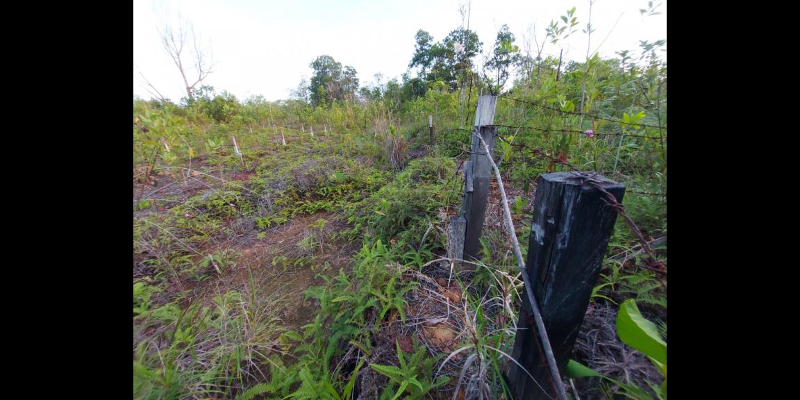 Jual Tanah Kavling Lokasi di Sepinggan, Balikpapan Jual Tanah Kavling Lokasi di Sepinggan, Balikpapan