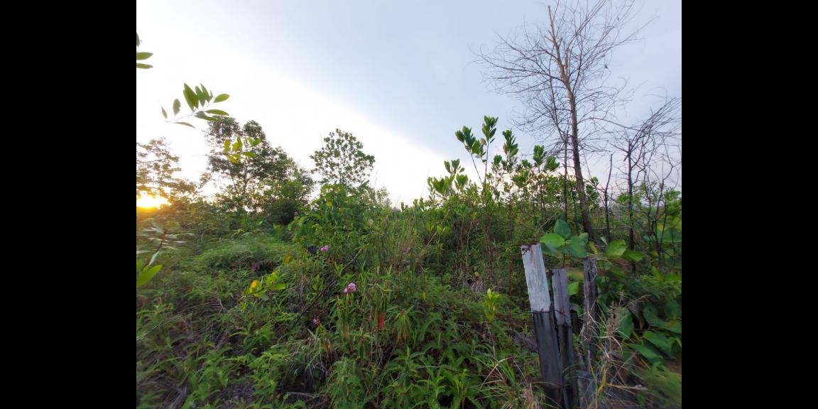 Jual Tanah Kavling Lokasi di Sepinggan, Balikpapan Jual Tanah Kavling Lokasi di Sepinggan, Balikpapan