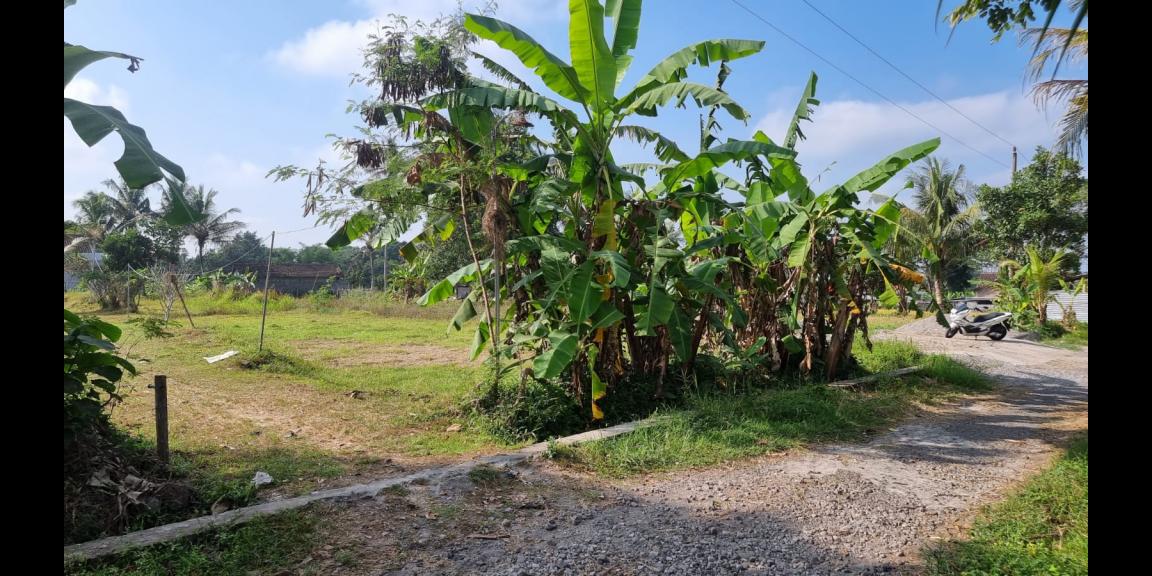 7 menit dari kampus UII pusat Tanah Shm Siap bangun 7 menit dari kampus UII pusat Tanah Shm Siap bangun