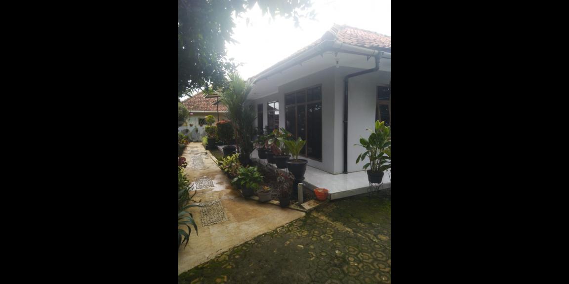 Rumah asri dan Tanah luas full furnish Kuningan Jabar Rumah asri dan Tanah luas full furnish Kuningan Jabar