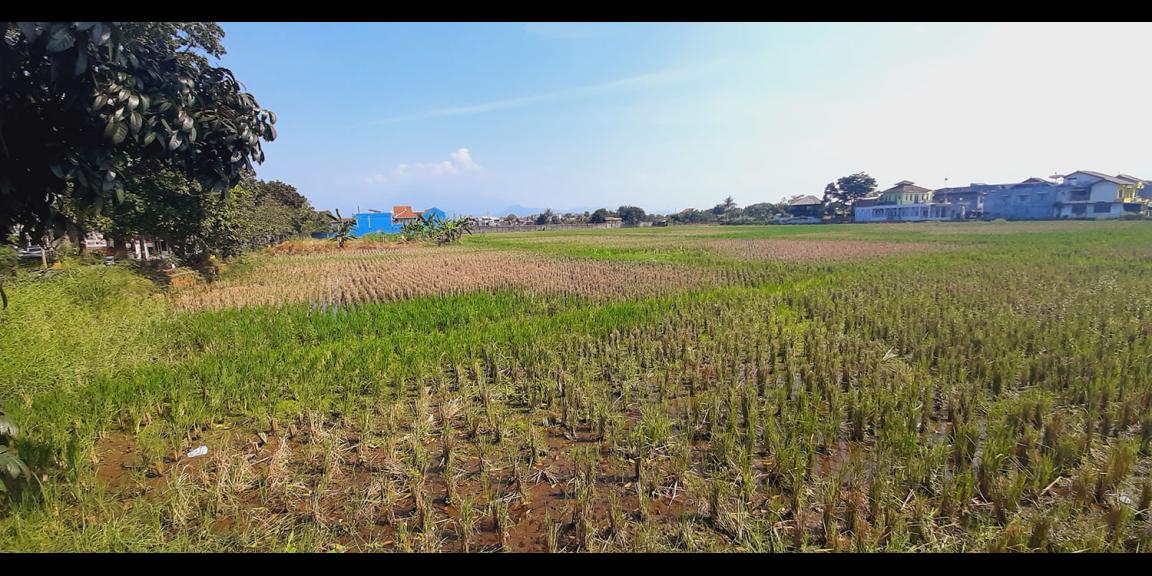 TANAH DI GEDEBAGE KOTA BANDUNG TANAH DI GEDEBAGE KOTA BANDUNG