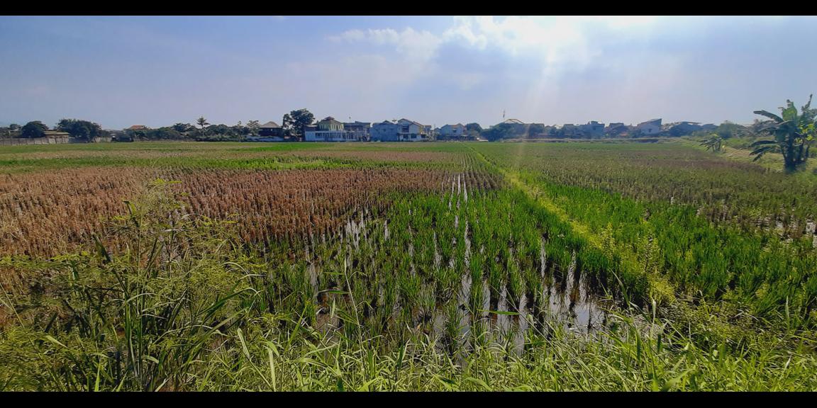 TANAH DI GEDEBAGE KOTA BANDUNG TANAH DI GEDEBAGE KOTA BANDUNG