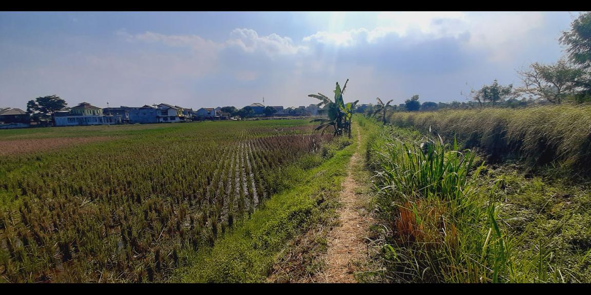 TANAH DI GEDEBAGE KOTA BANDUNG TANAH DI GEDEBAGE KOTA BANDUNG