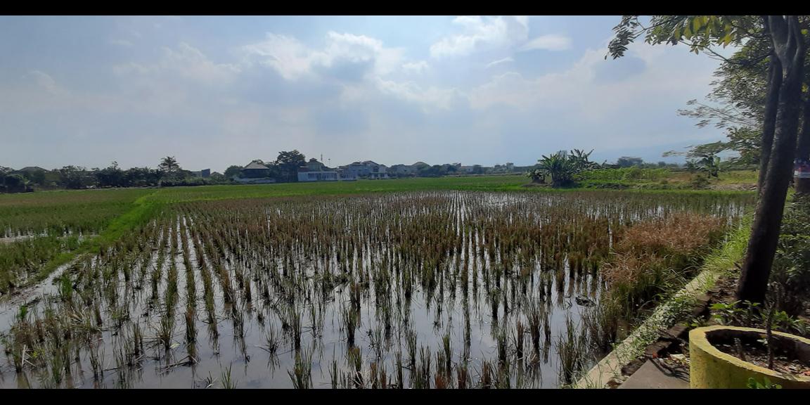 TANAH DI GEDEBAGE KOTA BANDUNG TANAH DI GEDEBAGE KOTA BANDUNG