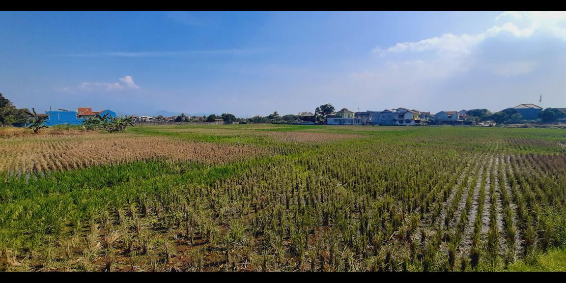 TANAH DI GEDEBAGE KOTA BANDUNG TANAH DI GEDEBAGE KOTA BANDUNG