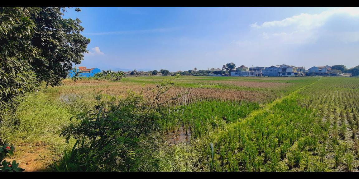 TANAH DI GEDEBAGE KOTA BANDUNG TANAH DI GEDEBAGE KOTA BANDUNG