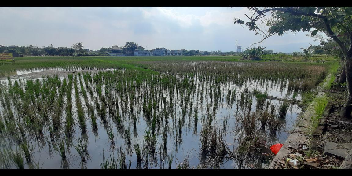 TANAH DI GEDEBAGE KOTA BANDUNG TANAH DI GEDEBAGE KOTA BANDUNG