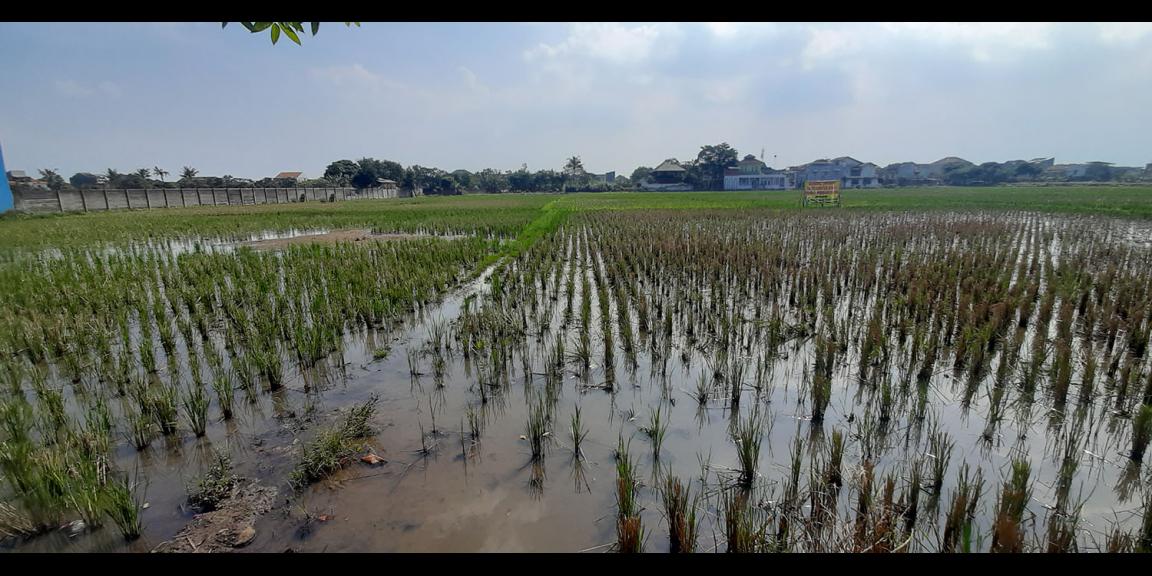 TANAH DI GEDEBAGE KOTA BANDUNG TANAH DI GEDEBAGE KOTA BANDUNG