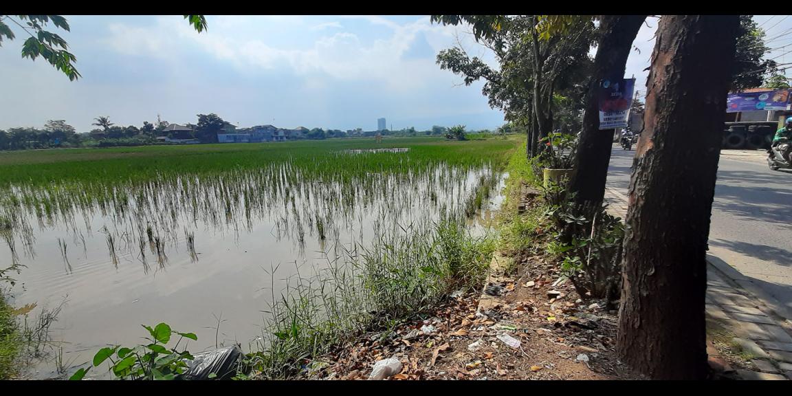 TANAH DI GEDEBAGE KOTA BANDUNG TANAH DI GEDEBAGE KOTA BANDUNG