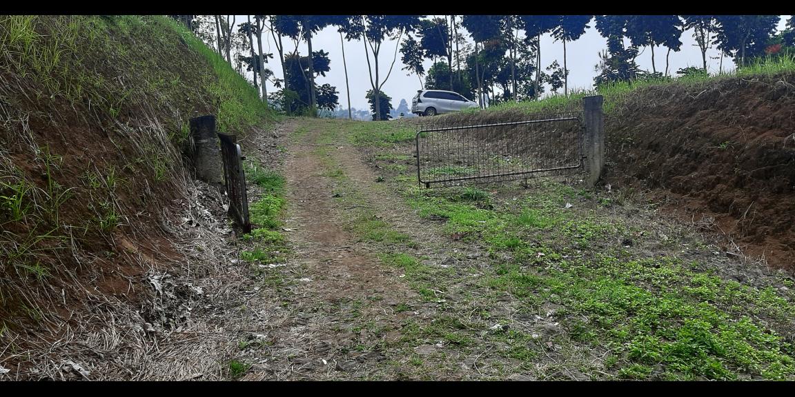 TANAH MATANG DAGO GIRI BANDUNG TANAH MATANG DAGO GIRI BANDUNG