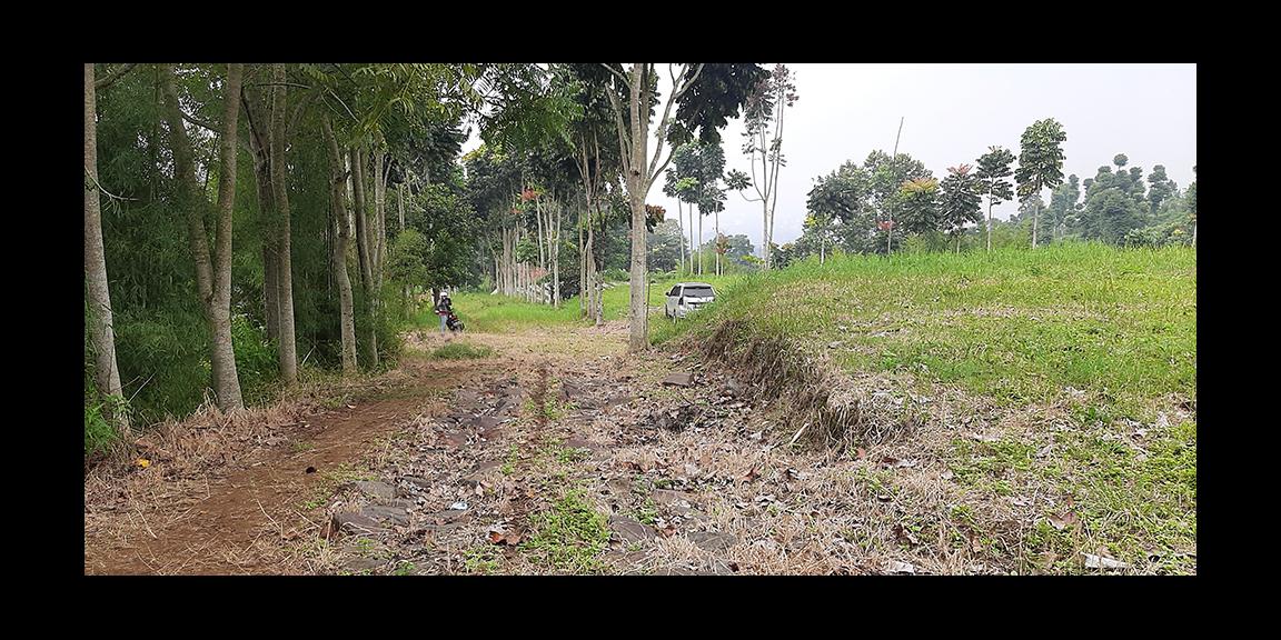 TANAH MATANG DAGO GIRI BANDUNG TANAH MATANG DAGO GIRI BANDUNG
