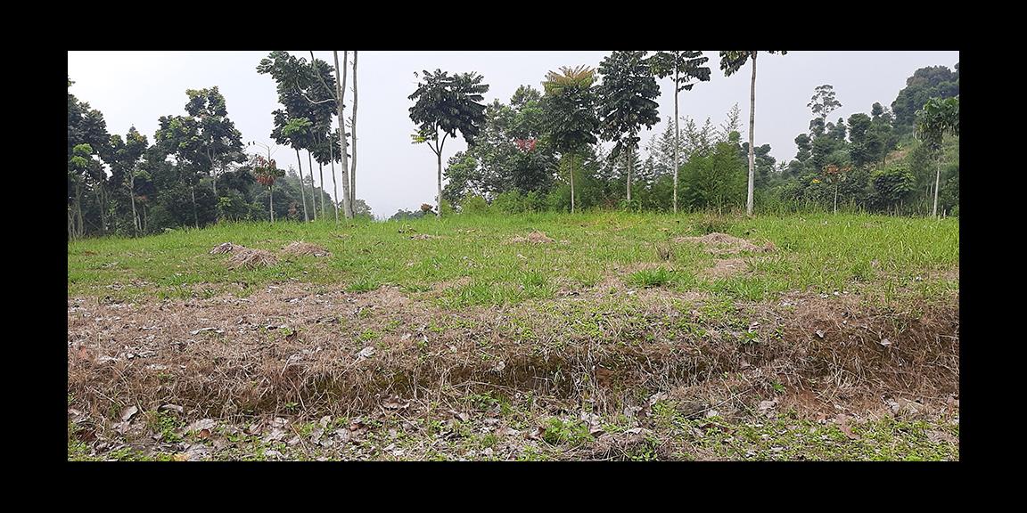 TANAH MATANG DAGO GIRI BANDUNG TANAH MATANG DAGO GIRI BANDUNG