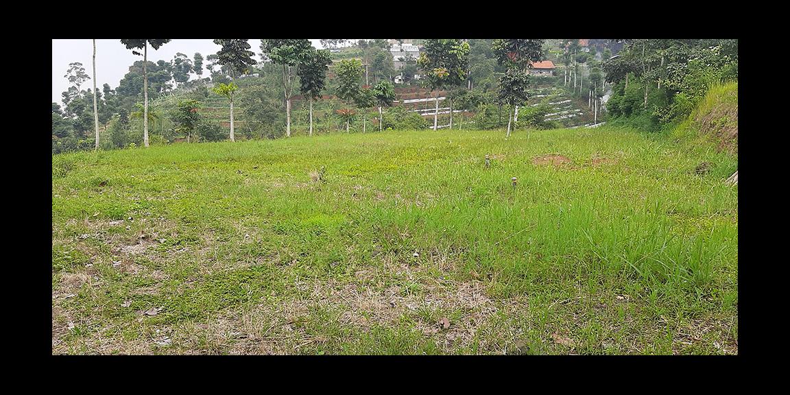 TANAH MATANG DAGO GIRI BANDUNG TANAH MATANG DAGO GIRI BANDUNG