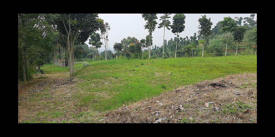 TANAH MATANG DAGO GIRI BANDUNG TANAH MATANG DAGO GIRI BANDUNG