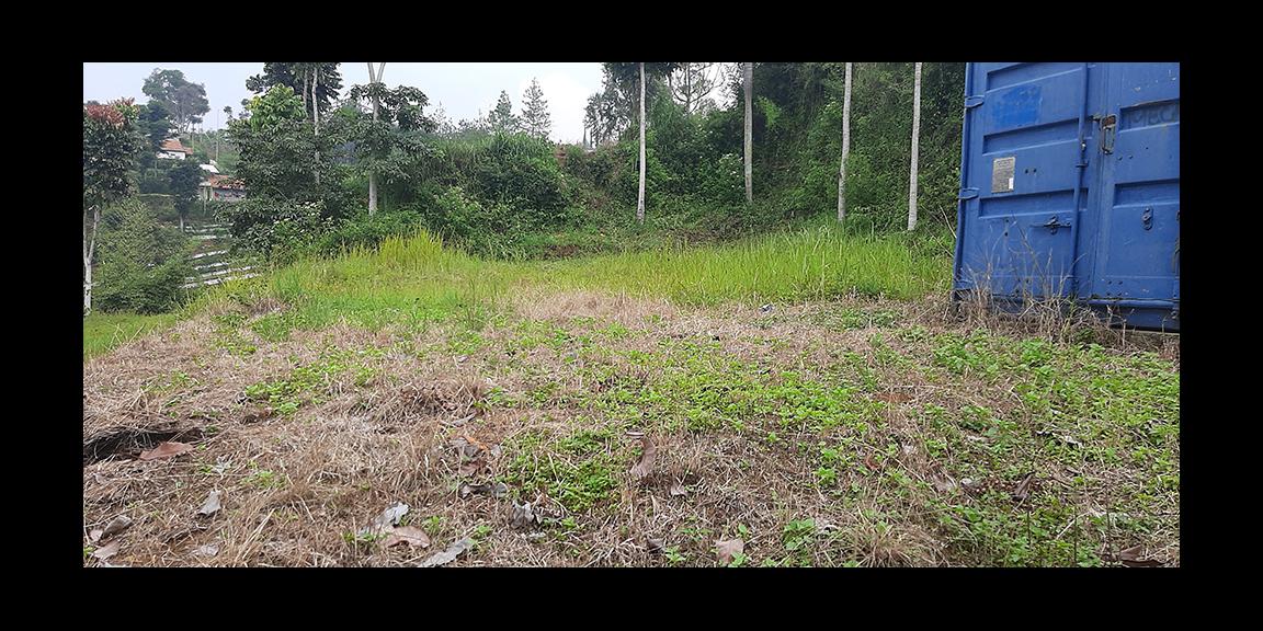 TANAH MATANG DAGO GIRI BANDUNG TANAH MATANG DAGO GIRI BANDUNG