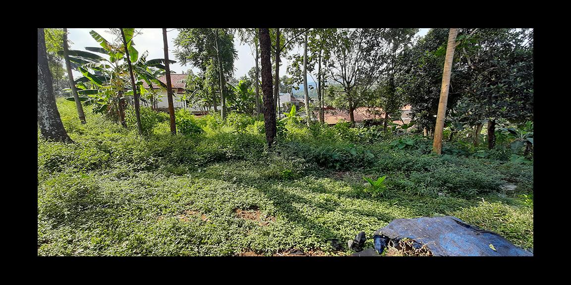 TANAH MATANG SINDANGLAYA BANDUNG TANAH MATANG SINDANGLAYA BANDUNG