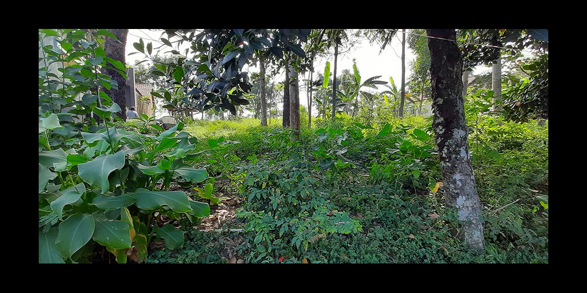 TANAH MATANG SINDANGLAYA BANDUNG TANAH MATANG SINDANGLAYA BANDUNG