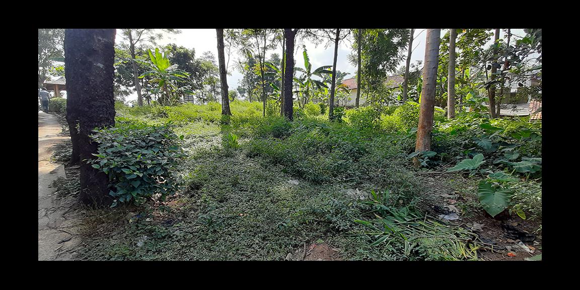 TANAH MATANG SINDANGLAYA BANDUNG TANAH MATANG SINDANGLAYA BANDUNG