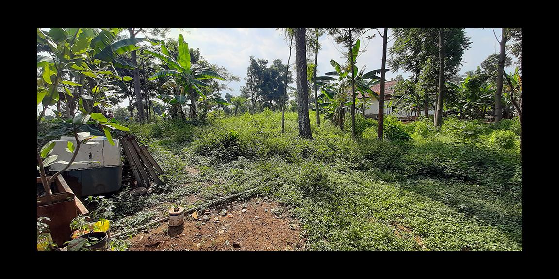 TANAH MATANG SINDANGLAYA BANDUNG TANAH MATANG SINDANGLAYA BANDUNG