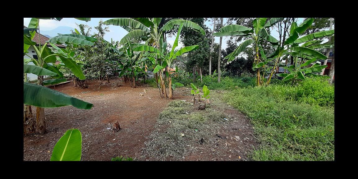 TANAH MATANG SINDANGLAYA BANDUNG TANAH MATANG SINDANGLAYA BANDUNG