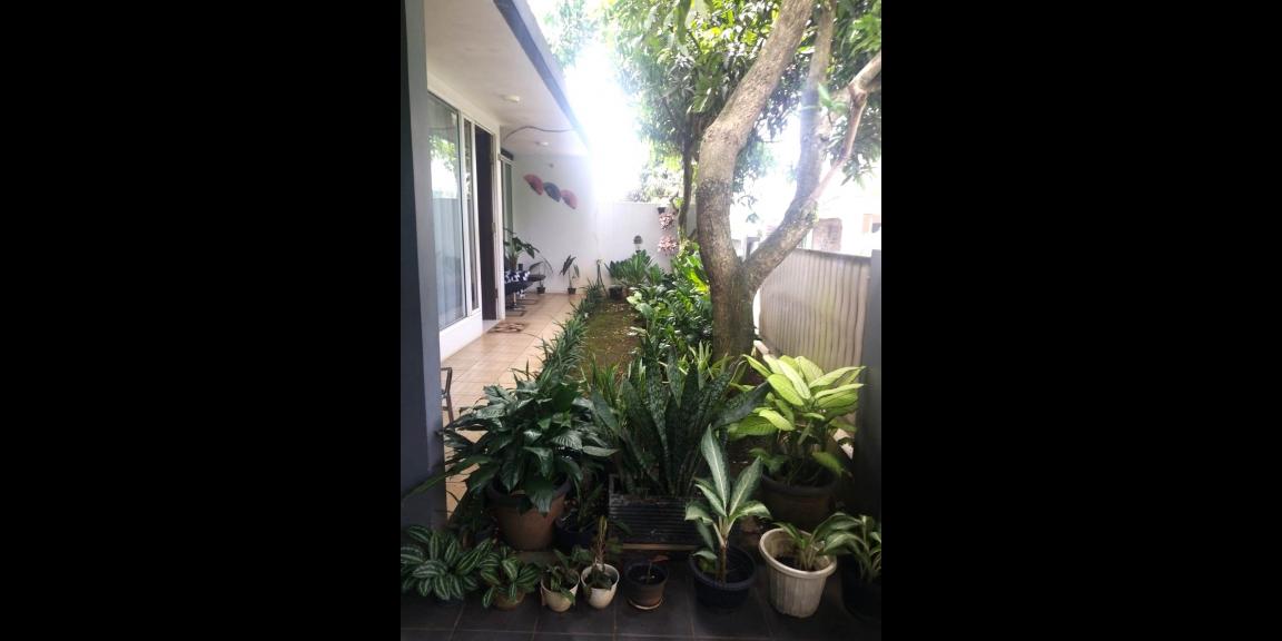 Rumah Asri dan Strategis area Tapos Depok Rumah Asri dan Strategis area Tapos Depok