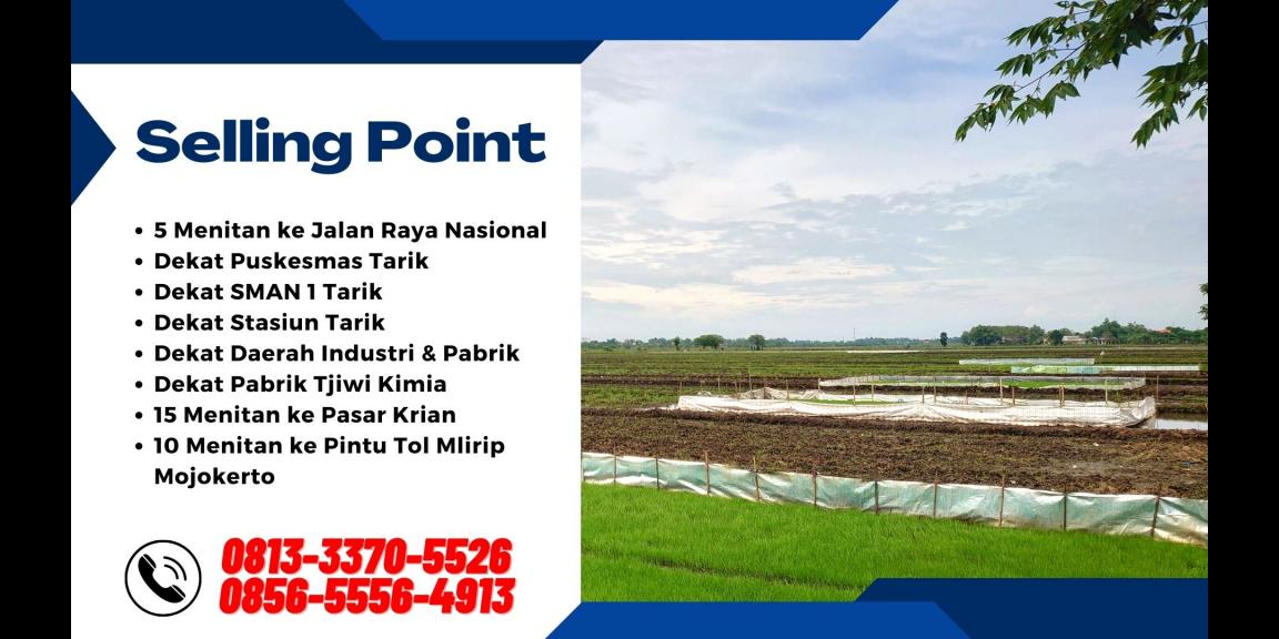 Tanah Dijual di Tarik Sidoarjo Lokasi Strategis Tanah Dijual di Tarik Sidoarjo Lokasi Strategis