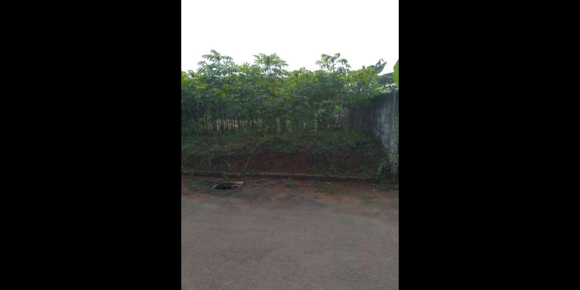 DIJUAL TANAH 396M SHM IMB TANPA PERANTARA DIJUAL TANAH 396M SHM IMB TANPA PERANTARA