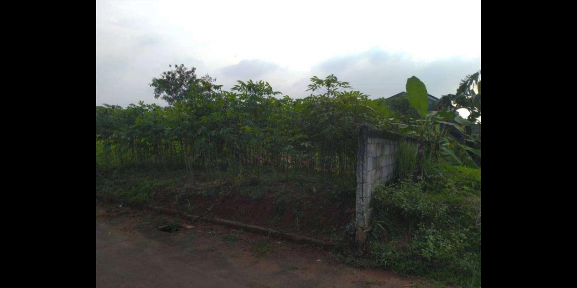 DIJUAL TANAH 396M SHM IMB TANPA PERANTARA DIJUAL TANAH 396M SHM IMB TANPA PERANTARA