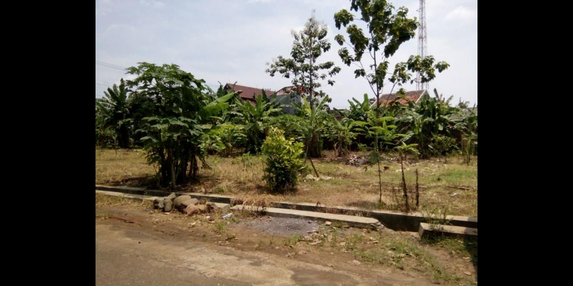 Tanah murah, luas, pinggir jalan, 5 km dari kawasan BSB city Tanah murah, luas, pinggir jalan, 5 km dari kawasan BSB city