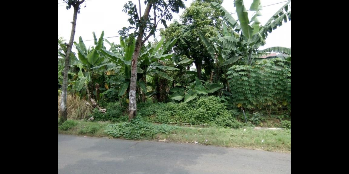 Tanah murah, luas, pinggir jalan, 5 km dari kawasan BSB city Tanah murah, luas, pinggir jalan, 5 km dari kawasan BSB city