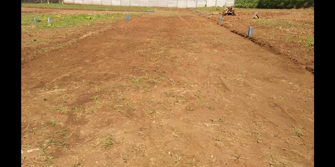 Tanah Kavling Malang siap bangun Tanah Kavling Malang siap bangun