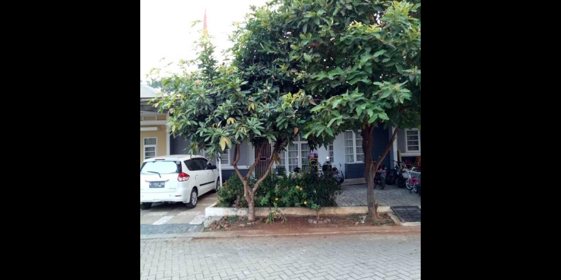 Tampak Depan Tampak Depan