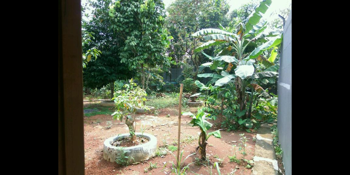 Rumanh kontrakan 5 pintu Rumanh kontrakan 5 pintu