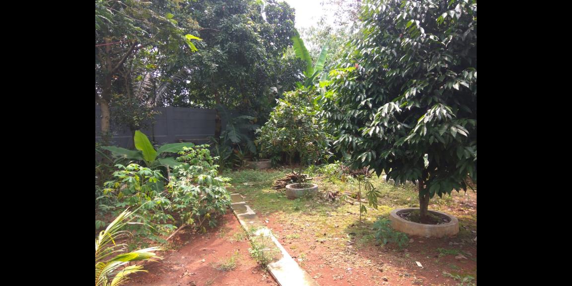 Rumanh kontrakan 5 pintu Rumanh kontrakan 5 pintu