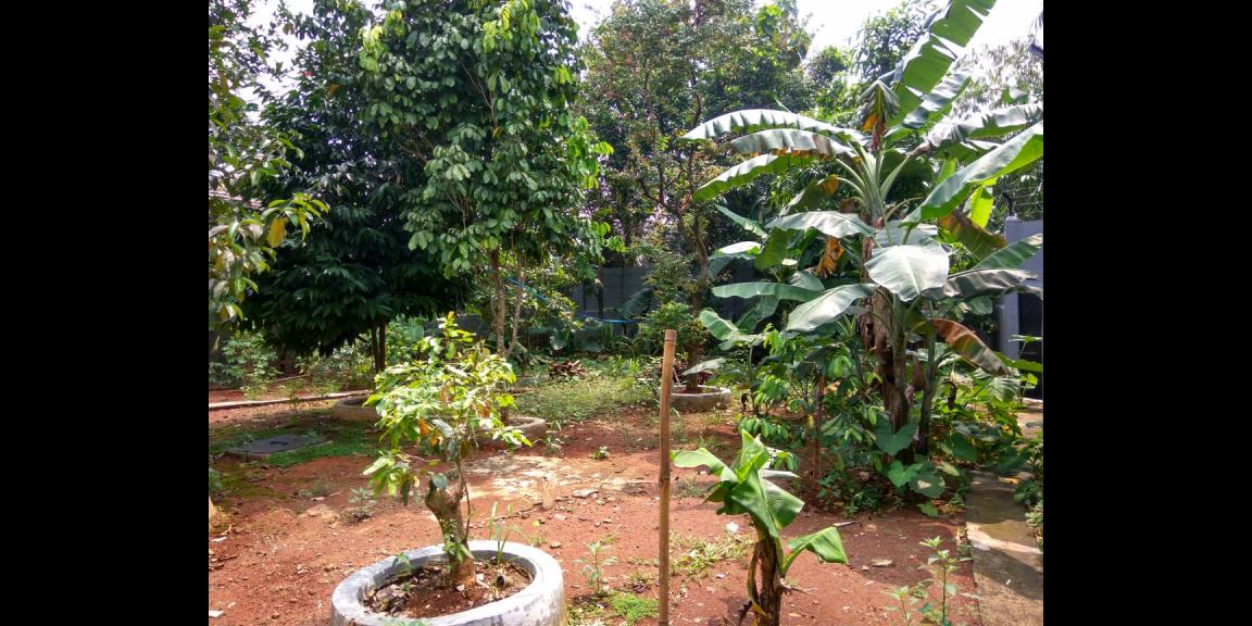 Rumanh kontrakan 5 pintu Rumanh kontrakan 5 pintu