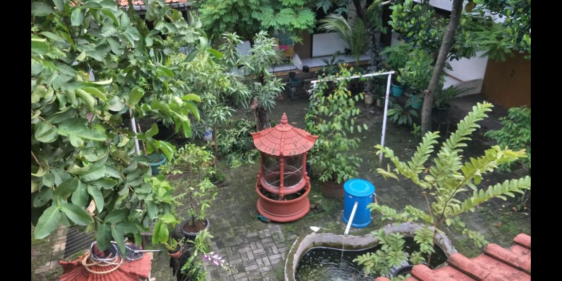 Rumah Murah Luas plus kosan di dalamnya Rumah Murah Luas plus kosan di dalamnya