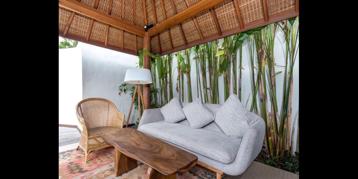 FULLY FURNISHED TROPICAL PRIVATE VILLA IN CANGGU FOR SALE ! FULLY FURNISHED TROPICAL PRIVATE VILLA IN CANGGU FOR SALE !
