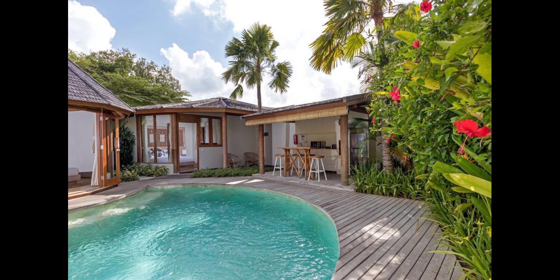 FULLY FURNISHED TROPICAL PRIVATE VILLA IN CANGGU FOR SALE ! FULLY FURNISHED TROPICAL PRIVATE VILLA IN CANGGU FOR SALE !