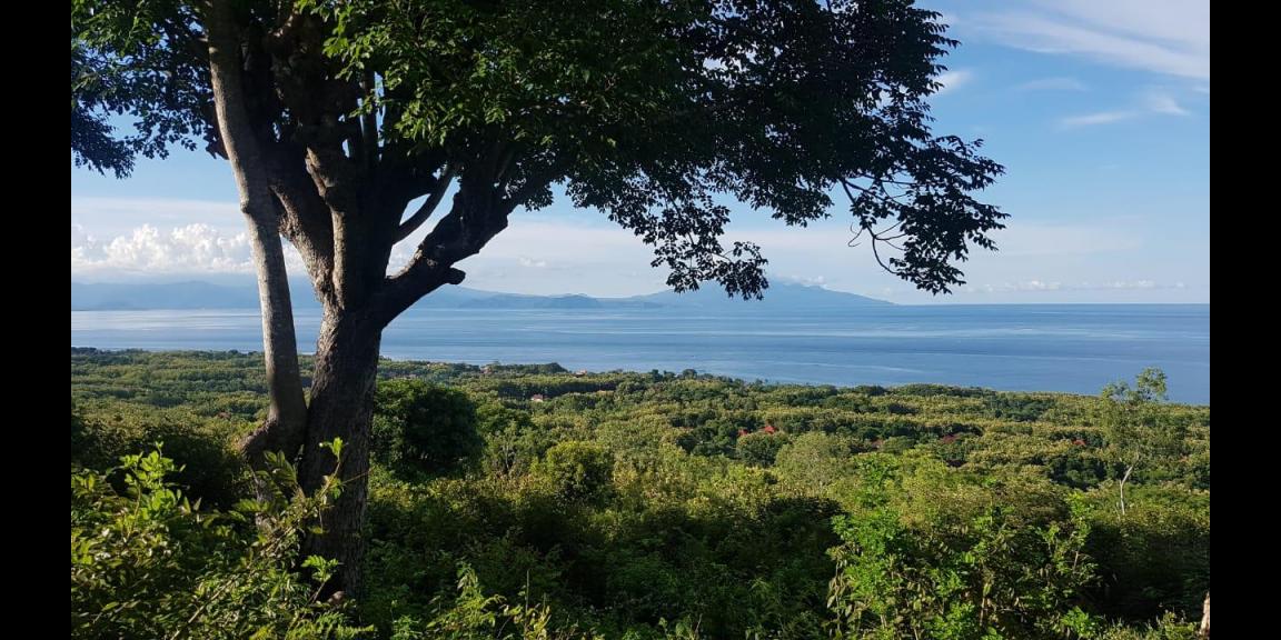 LAND FOR SALE NUSA PENIDA LAND FOR SALE NUSA PENIDA