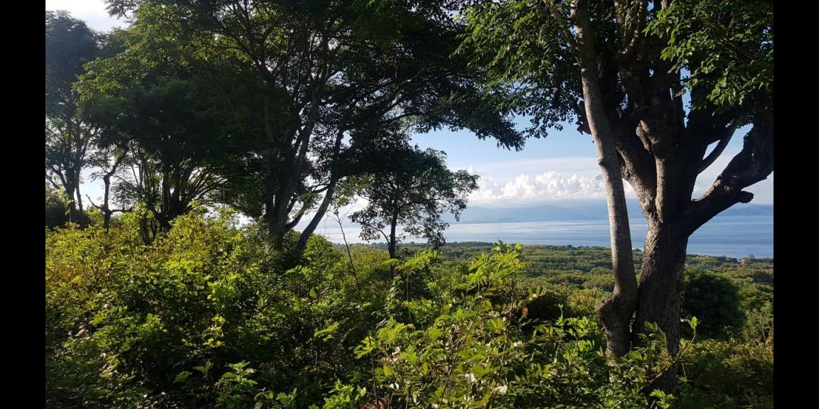 LAND FOR SALE NUSA PENIDA LAND FOR SALE NUSA PENIDA