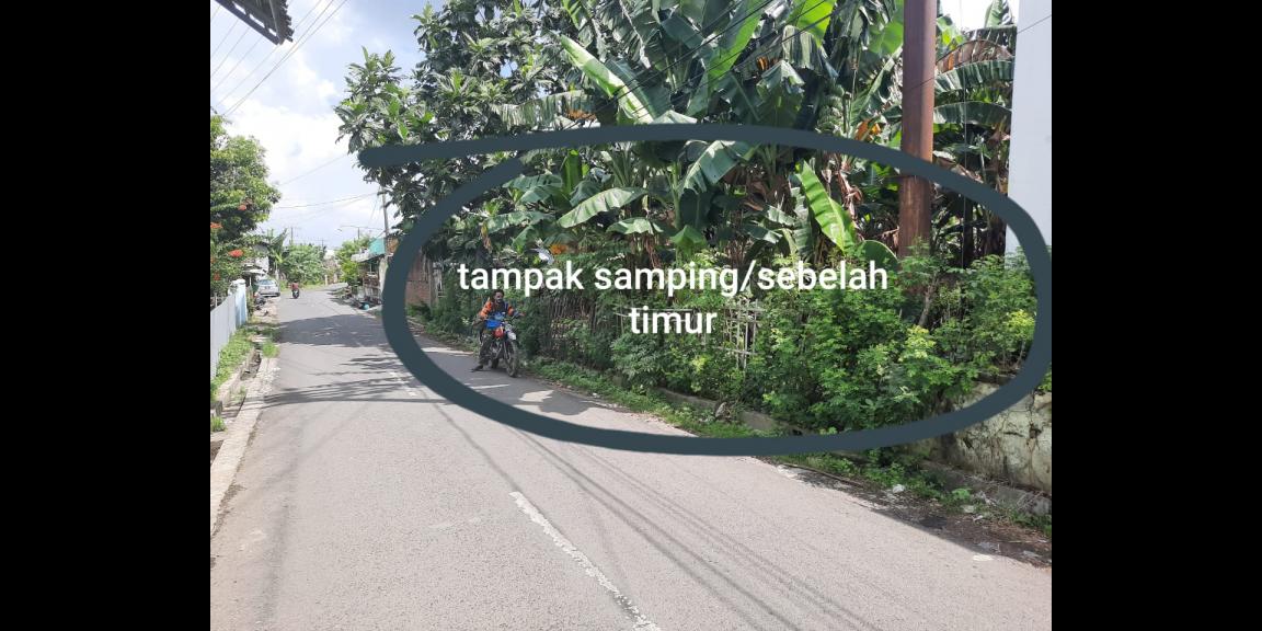 Dijual Tanah Jln Raya di Kudus, Prambatan Lor, Kaliwungu Kudus Jawa Tengah Dijual Tanah Jln Raya di Kudus, Prambatan Lor, Kaliwungu Kudus Jawa Tengah