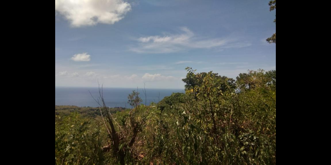 LAND FOR SALE NUSA PENIDA LAND FOR SALE NUSA PENIDA