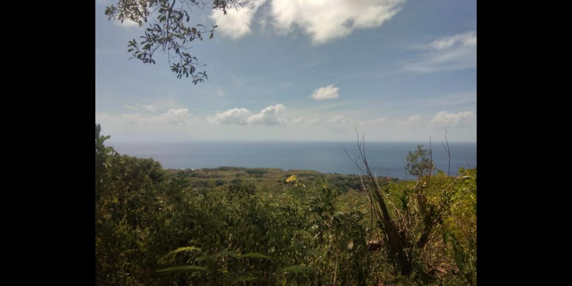 LAND FOR SALE NUSA PENIDA LAND FOR SALE NUSA PENIDA
