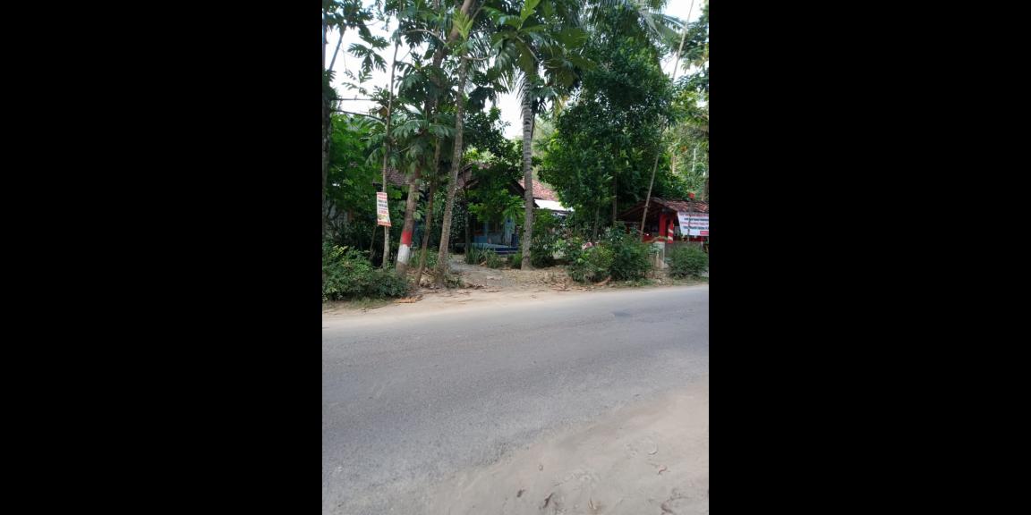 Rumah asri posisi hoek dekat bandara baru Kulonprogo Yogyakarta Rumah asri posisi hoek dekat bandara baru Kulonprogo Yogyakarta