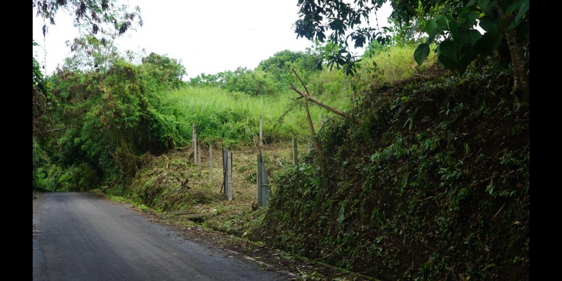 LAND FOR SALE NUSA TEGENUNGAN SUKAWATI LAND FOR SALE NUSA TEGENUNGAN SUKAWATI