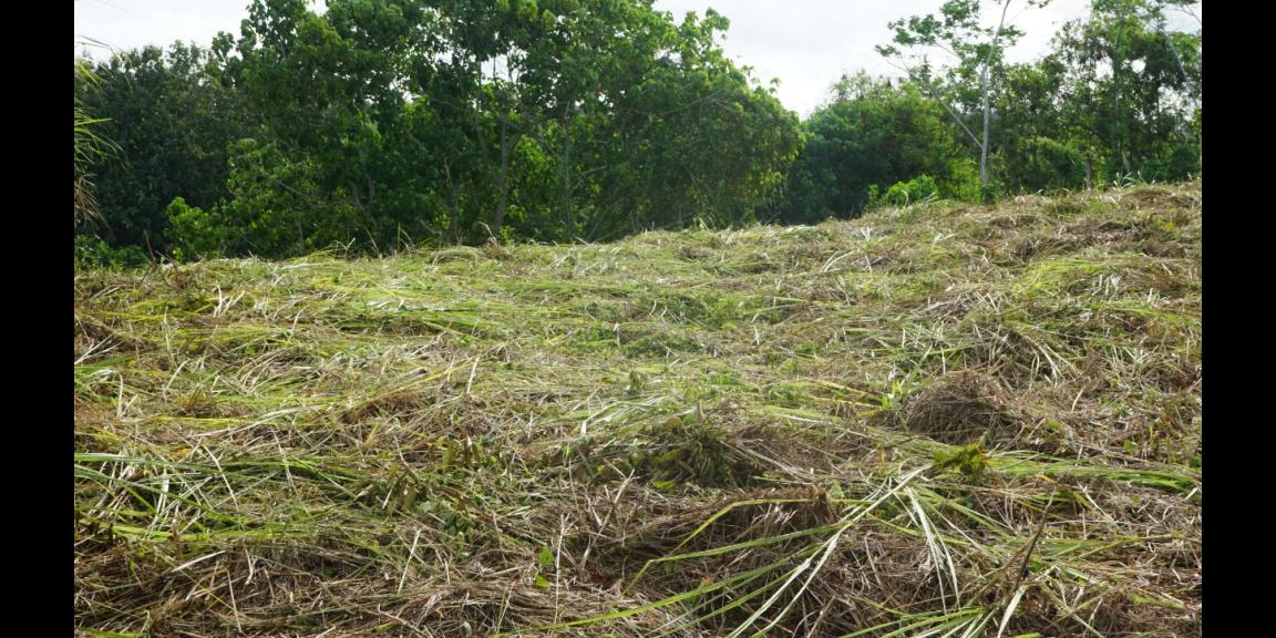 LAND FOR SALE NUSA TEGENUNGAN SUKAWATI LAND FOR SALE NUSA TEGENUNGAN SUKAWATI